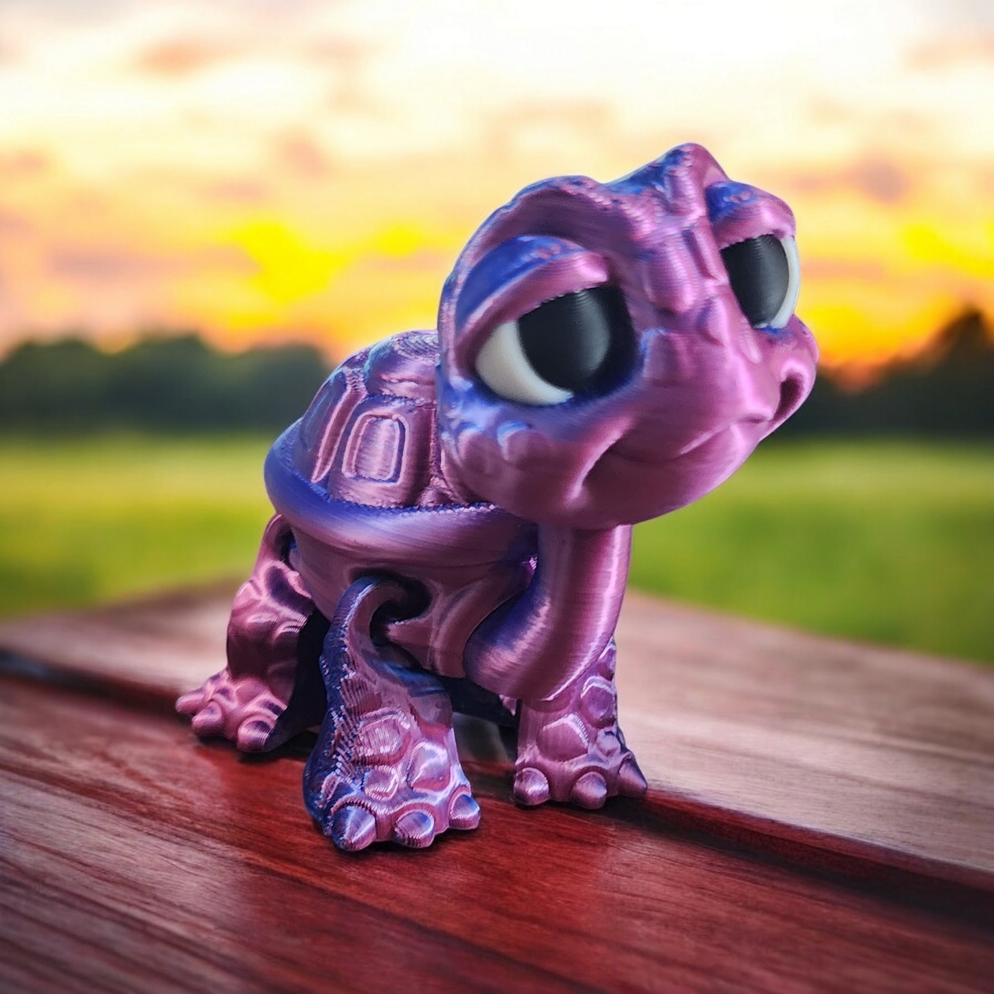 Tortoise Pink and Prurple