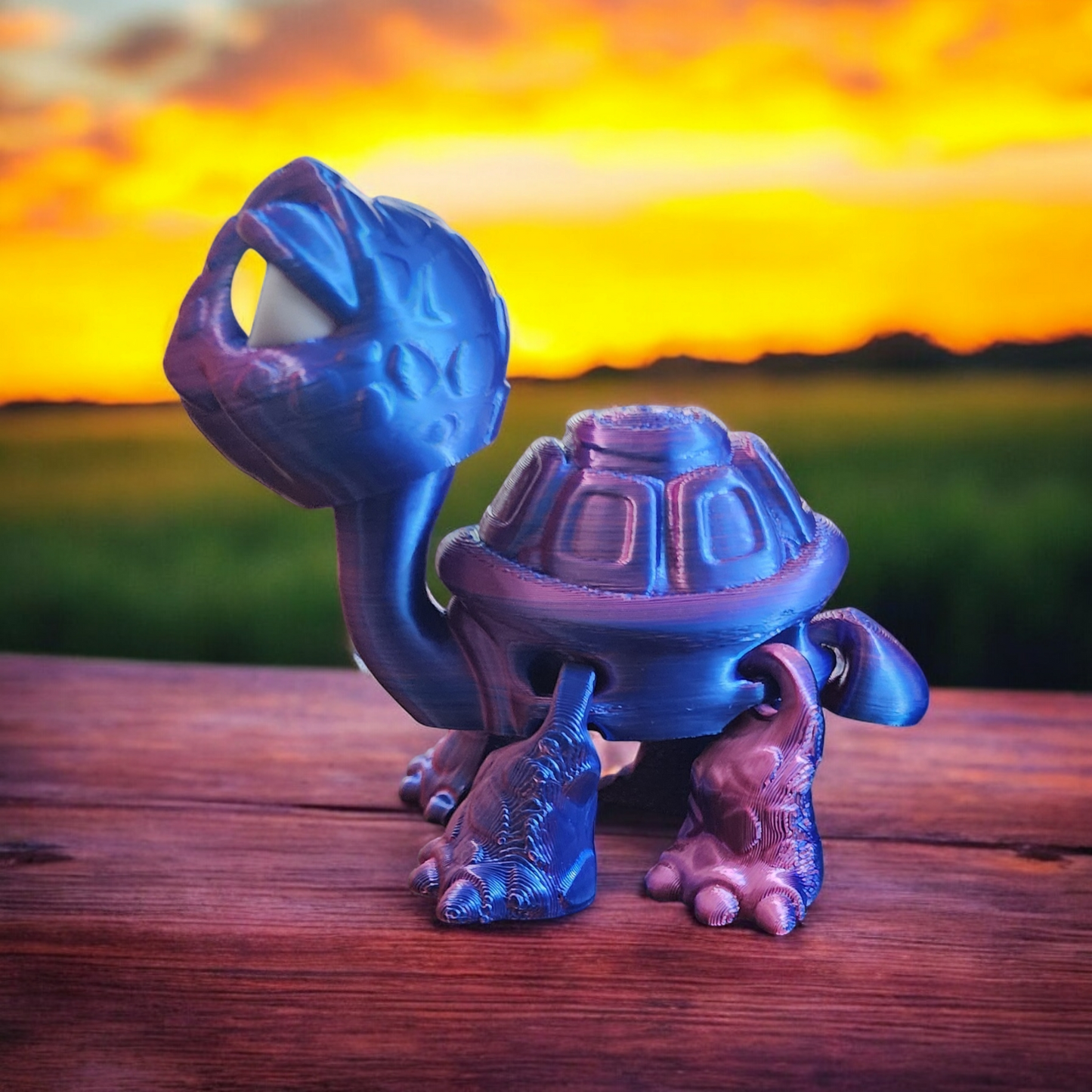 Tortoise Pink and Prurple